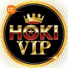 Logo hokivip